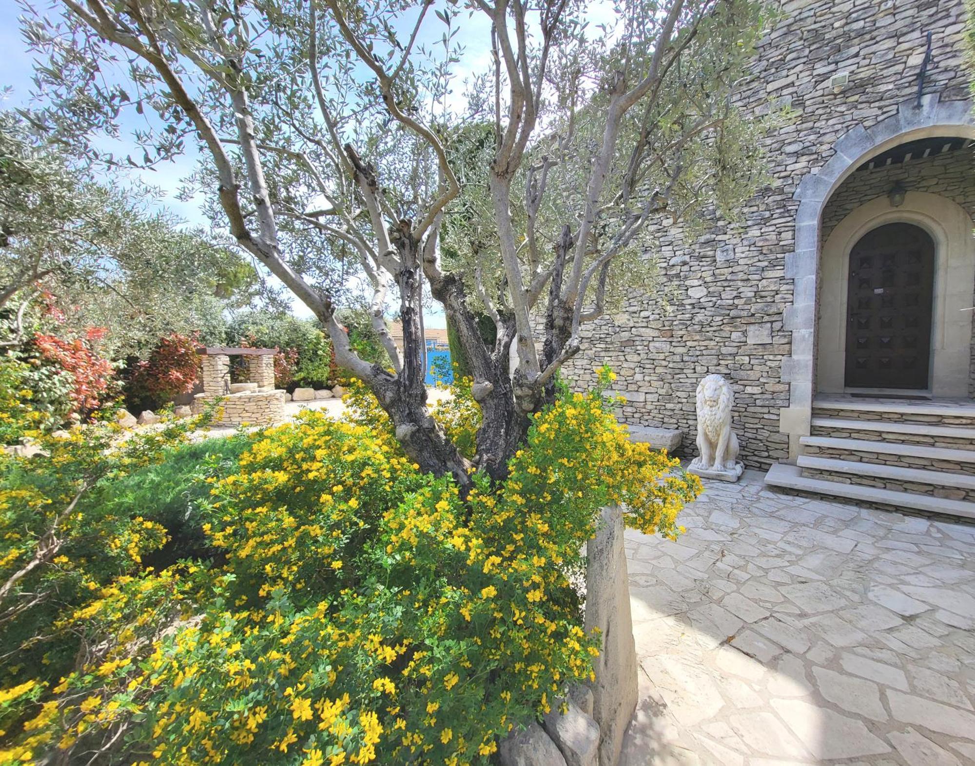 "La Massette Du Cheval Blanc" Villa De Caractere En Pierre LʼIsle-sur-la-Sorgue Exterior foto